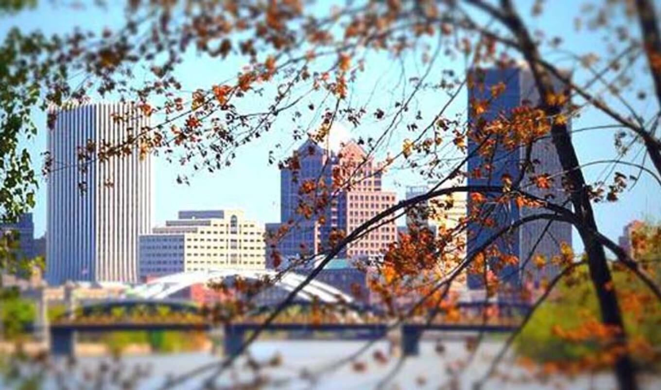 Rochester, NY to Get All-Vegan School