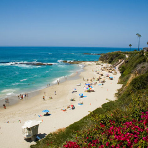 Vegan in Orange County