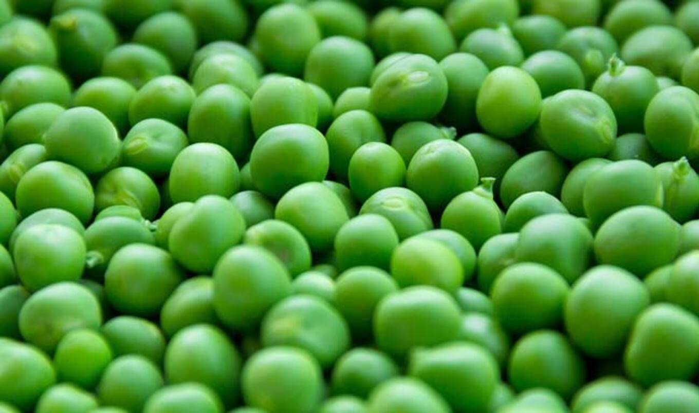 Dietitians Tout Benefits of Pea Protein