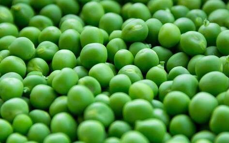 Cargill Invests in Plant-Based Protein