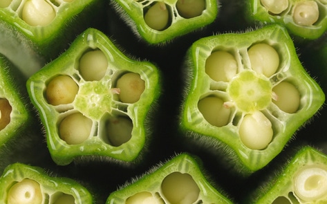 Disease-Fighting Superfoods You Should be Eating