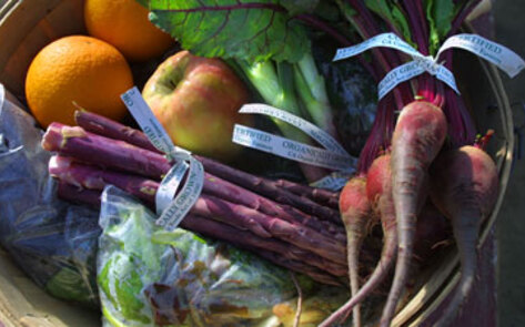 Britain's Veg Rescue Plan
