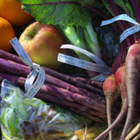 Britain's Veg Rescue Plan