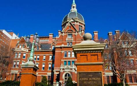 Johns Hopkins Ends Mandatory Medical Training on Piglets