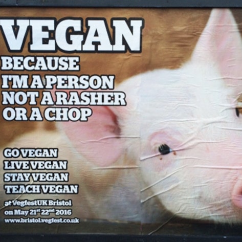 UK's First-Ever Vegan Billboards Go Up