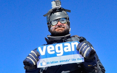 First Vegan Summits Mount Everest
