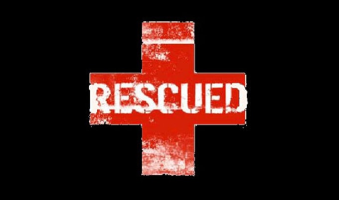 VegNews.Rescued