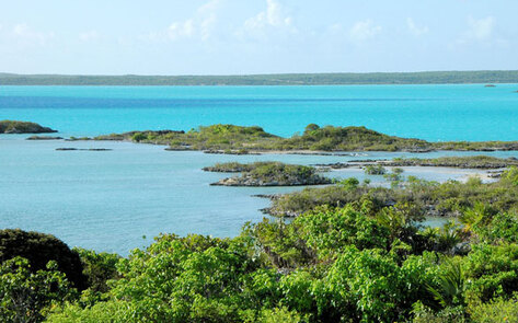 How to Eat Vegan in Turks & Caicos