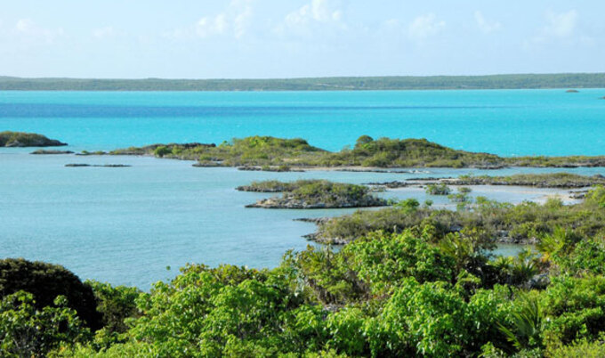 VegNews.Turks&Caicos.PhotobyBrianBirke