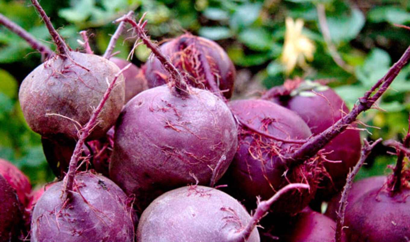 10 Healthful Foods You Should Be Eating Right Now