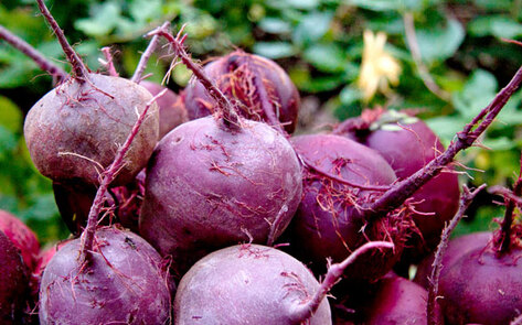 10 Healthful Foods You Should Be Eating Right Now