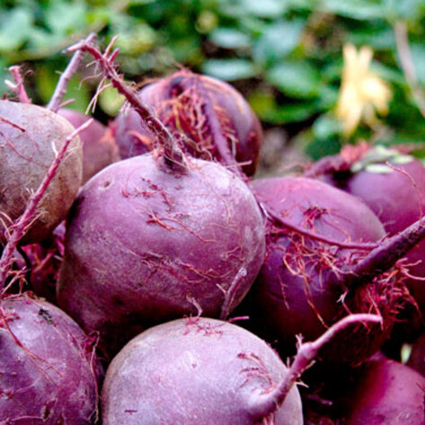 10 Healthful Foods You Should Be Eating Right Now