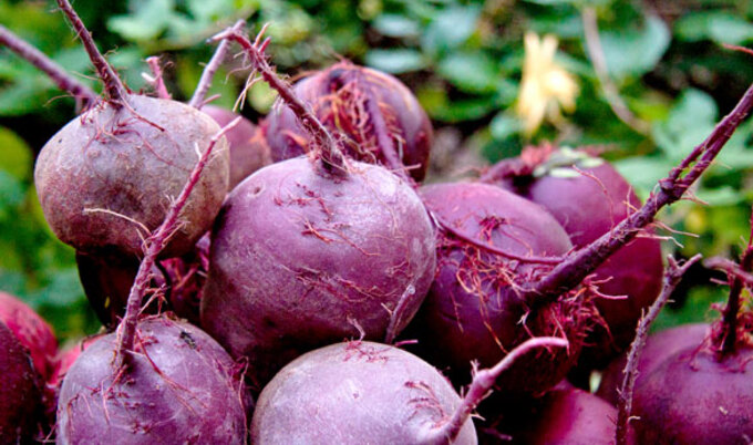 VegNews.Beets.TimSackton