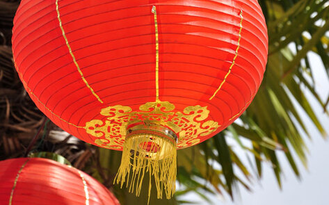The Vegan Guide to Chinese New Year