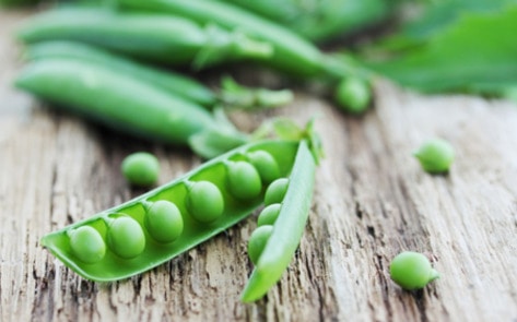 Pea Protein Highlighted on Popsugar