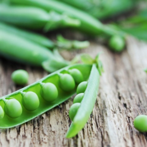 Pea Protein Highlighted on Popsugar