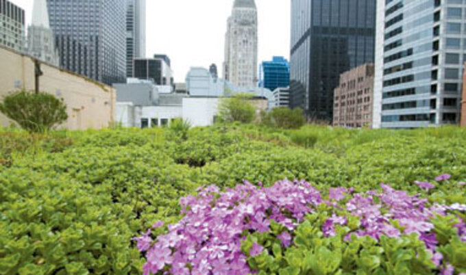 green-rooftop-VND