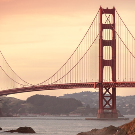 Vegan Iron Chef Returns to San Francisco