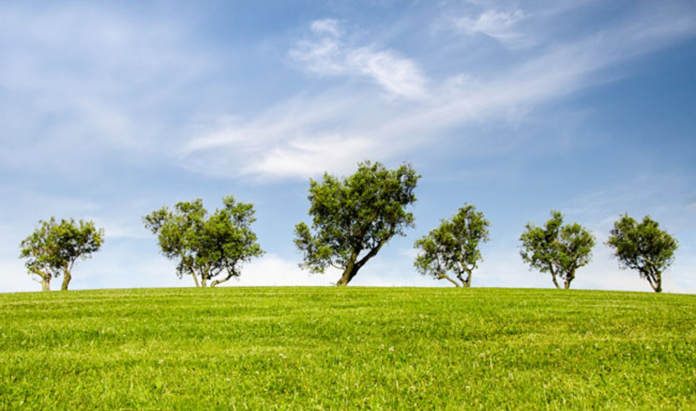 5 Ways Being Vegan Saves the Planet