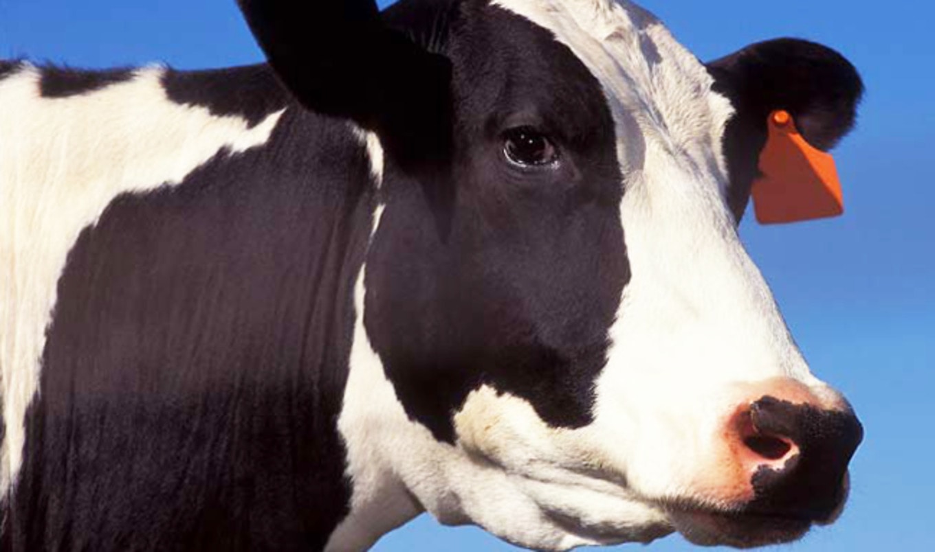 Milk Consumption Drops by 22 Percent Since 2000