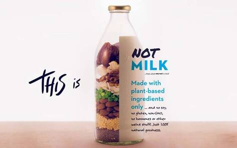Vegan Startup Makes Molecular Copycats of Animal Products