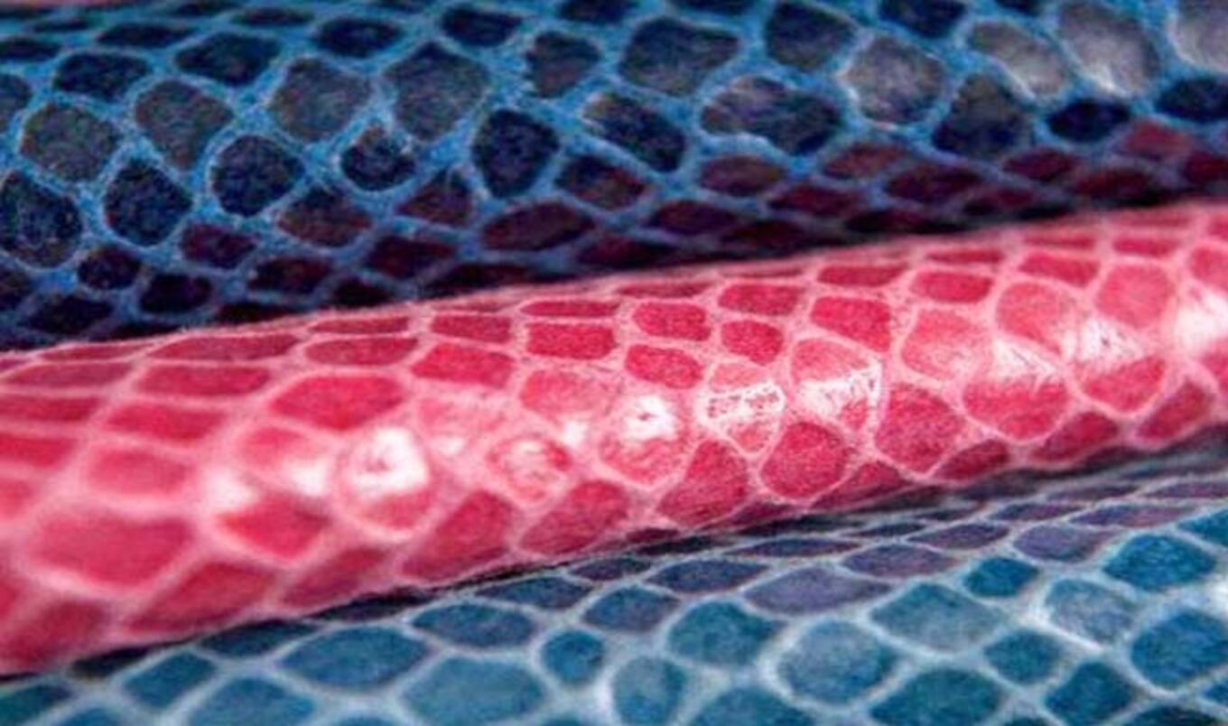 Spanish Designer Makes Vegan Leather from Pineapples | VegNews