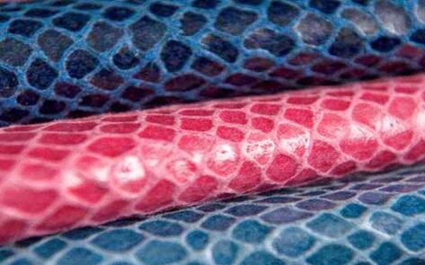 Spanish Designer Makes Vegan Leather from Pineapples