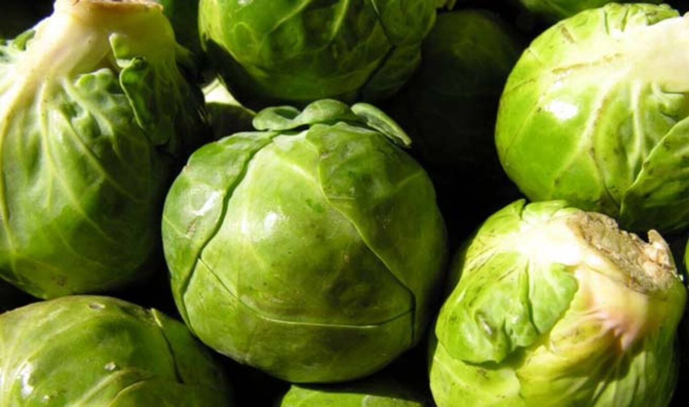 Winner of First-Ever Vegan Battle of the Brussels Announced