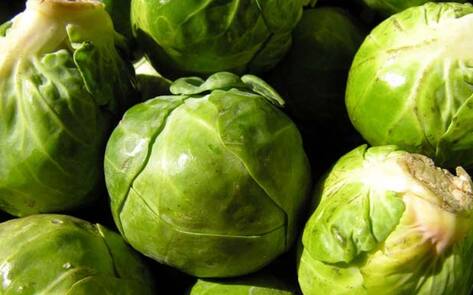 Winner of First-Ever Vegan Battle of the Brussels Announced