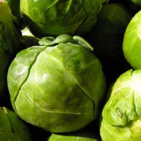 VegNews.Sprouts