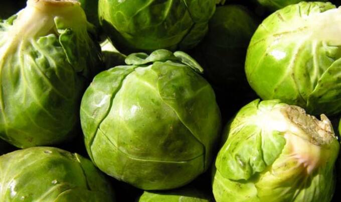 VegNews.Sprouts
