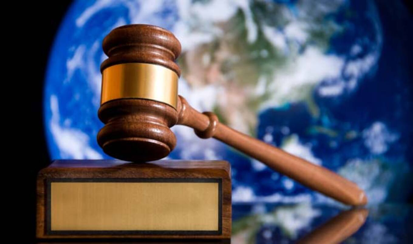 <i>Harvard Magazine</i> Profiles Progress of Animal Law
