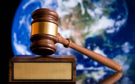 <i>Harvard Magazine</i> Profiles Progress of Animal Law