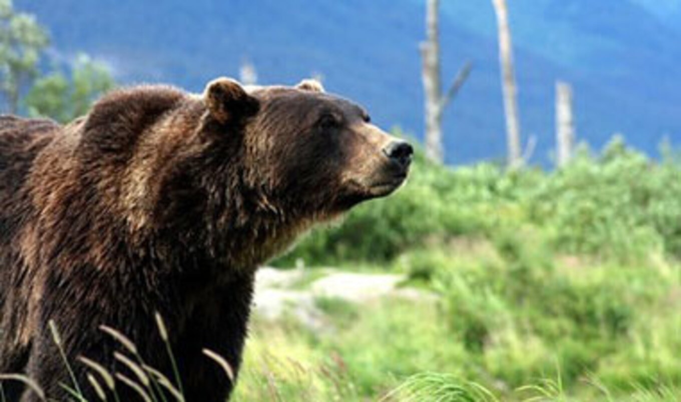 Bulgaria Signs Humane Contract