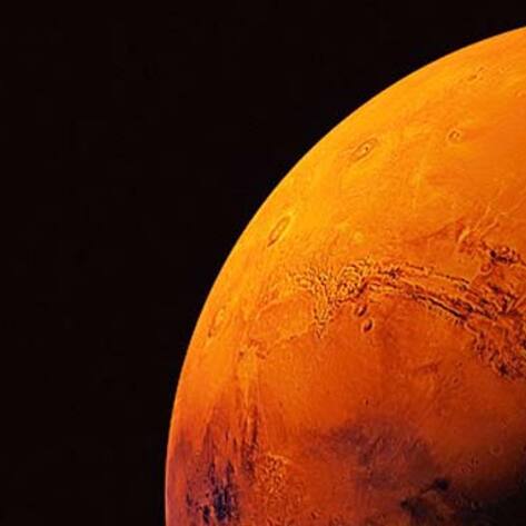 A Vegan Mars Possible After Scientist Grow Martian Tomatoes