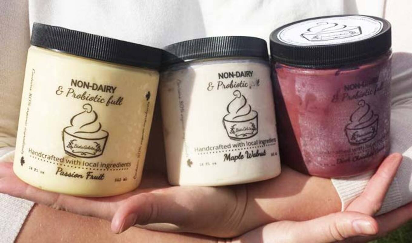 Canadian Students Invent New Vegan Gelato