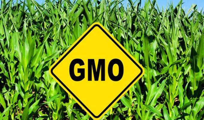 VegNews.GMO