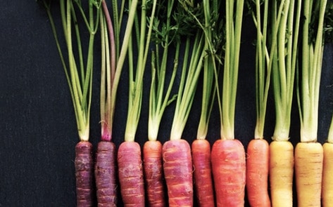 Study: 8 Million Lives, $1 Trillion Could be Saved by Going Vegan