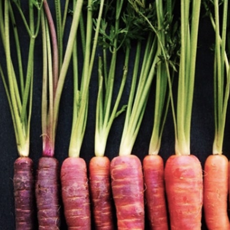 Study: 8 Million Lives, $1 Trillion Could be Saved by Going Vegan