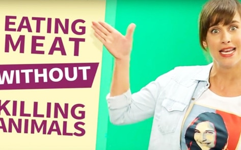 Meat-Free Startup Raises $100,000 on Indiegogo