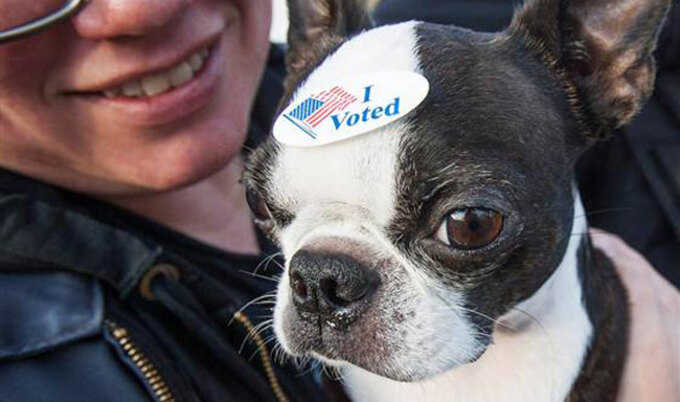 VegNews.DogVote