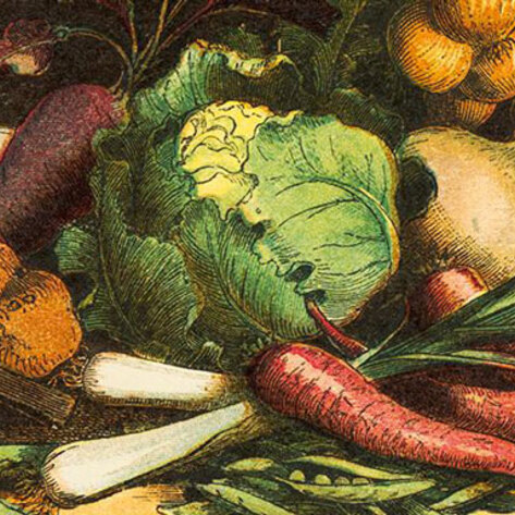 Indiana University Hosts Display on Vegetarian History