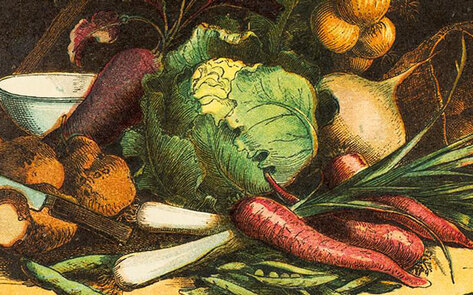 Indiana University Hosts Display on Vegetarian History