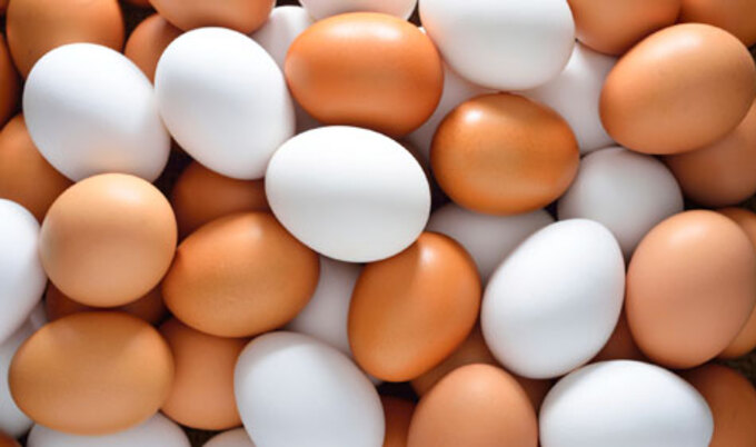 VegNews.Eggs