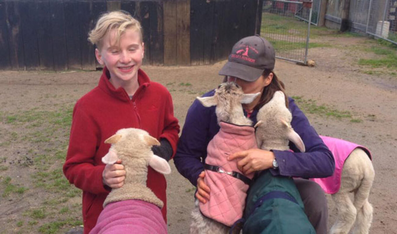 13-Year-Old Gives Birthday Money to Farm Animals