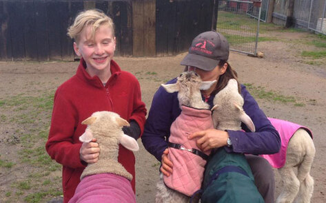 13-Year-Old Gives Birthday Money to Farm Animals