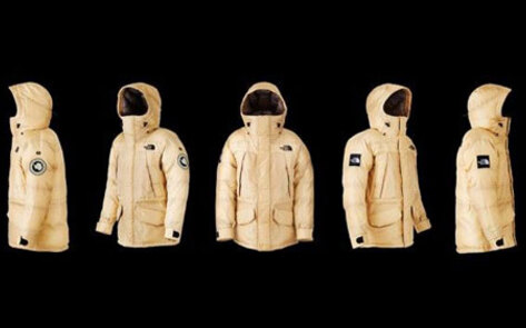 Patagonia and North Face Switch to Vegan Spider Silk