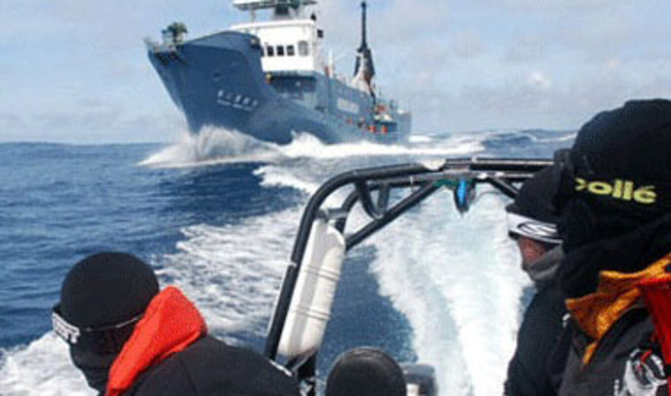 <i>Whale Wars</i> Captain Arrested, Bailed from German Jail