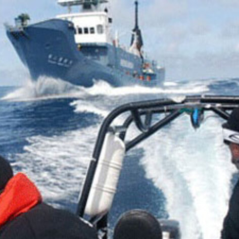 <i>Whale Wars'</i> Emmy Nomination