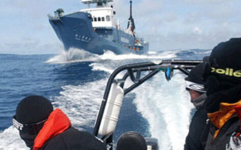 <i>Whale Wars'</i> Emmy Nomination